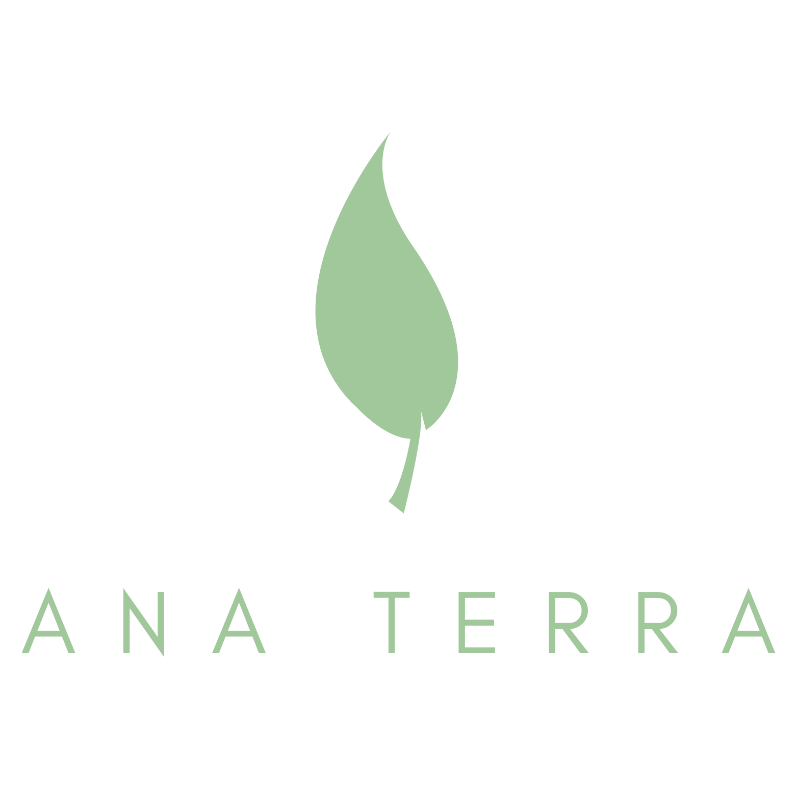 Ana Terra