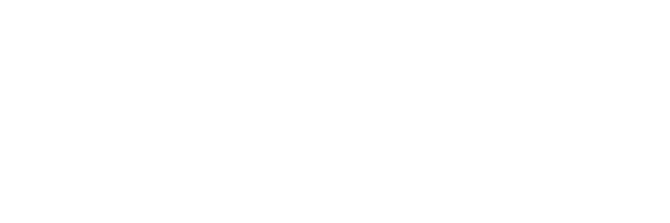 Francisco Watches
