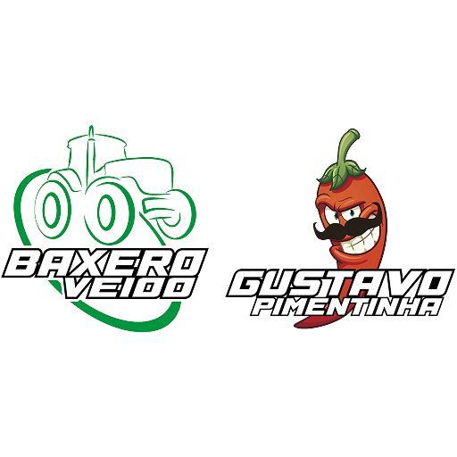 BAXERO VEIO PUBLICIDADE LTDA