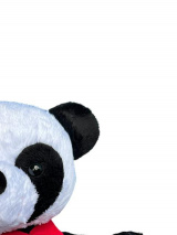 Ursinho Panda Apaixonado