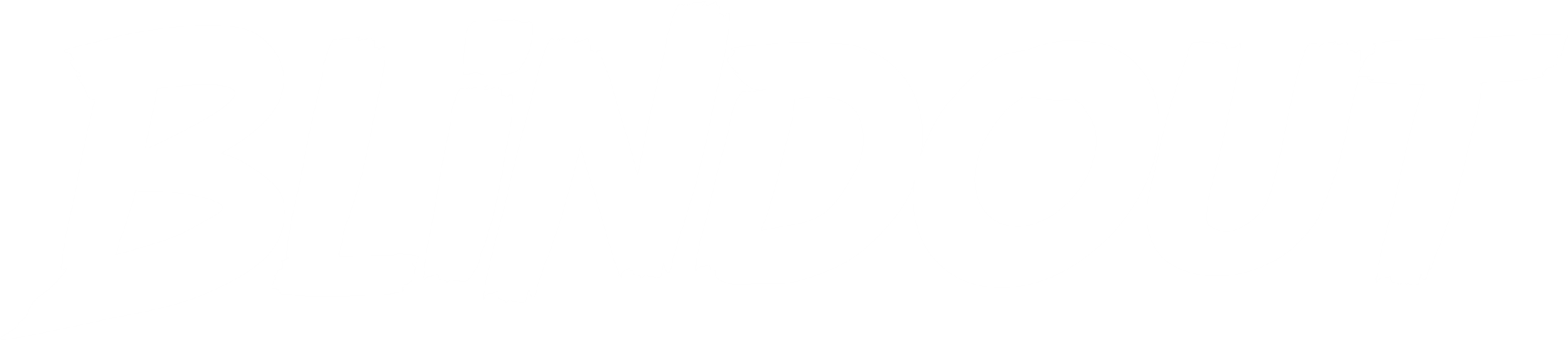 BLINDOUT CO.