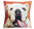 Capa de Almofada Estampa Digital Avulsa - Dog 01