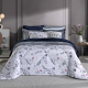 Edredom Duo Queen Elle Dupla Face Mantinha Soft Macio Aconchegante 2,60m x 2,35m 01 Peça