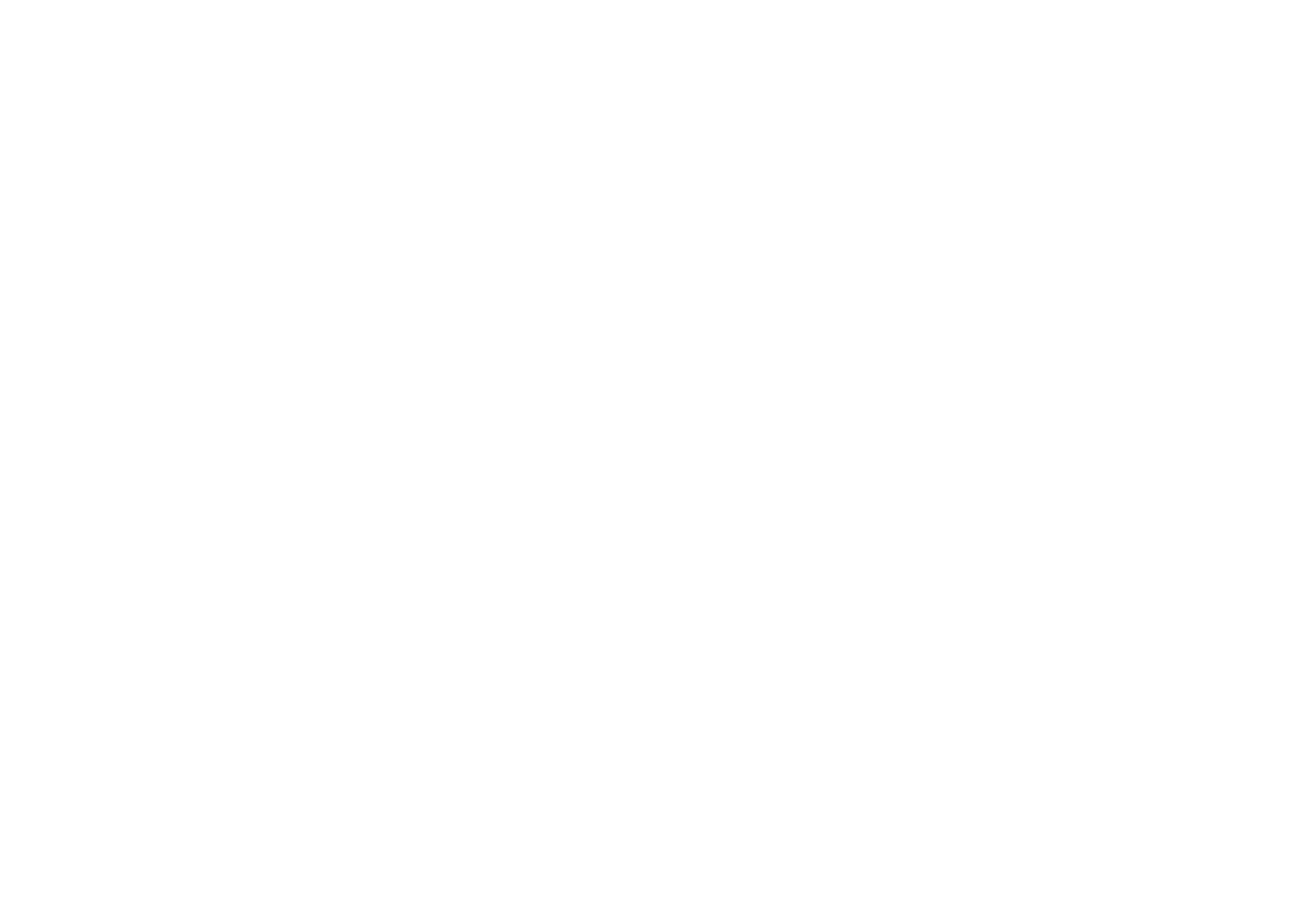 Bugi Store