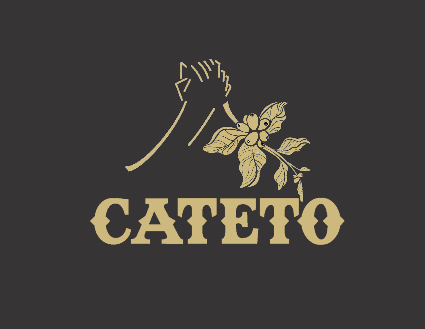 Cateto Cafés Especiais