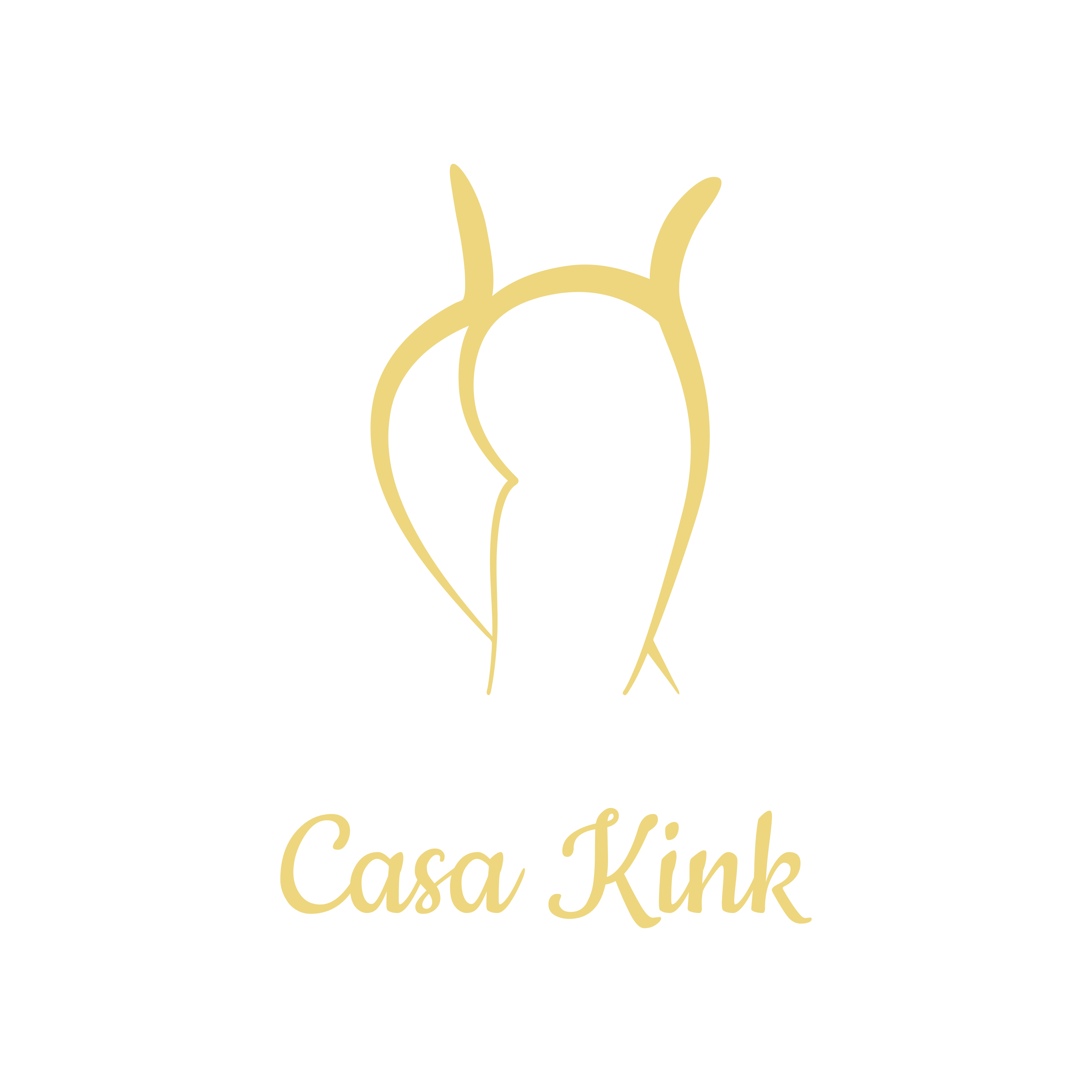 Casa Kink