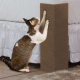 Arranhador MDF Cama Box para Gatos - Bege