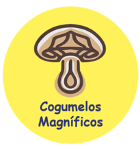 COGUMELOS MAGNIFICOS LTDA