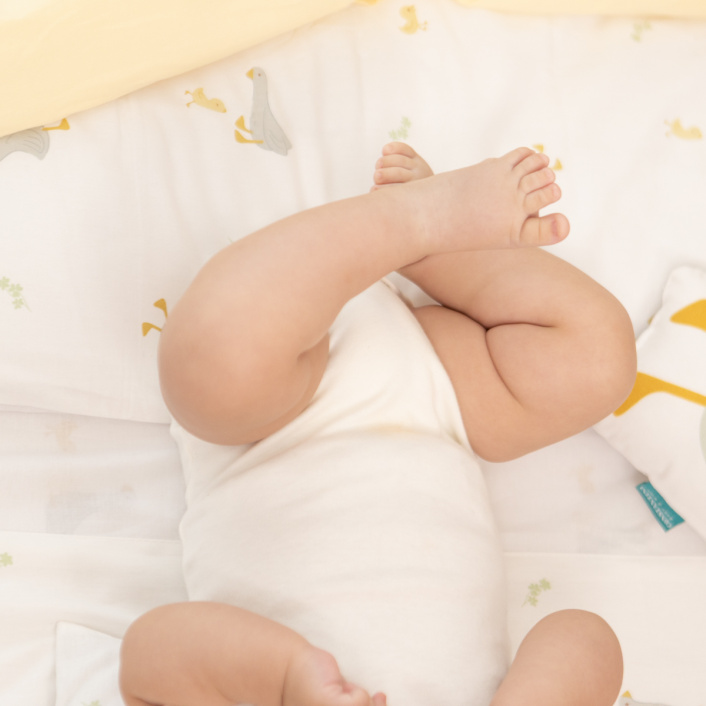 Capa Duvet para Edredom solteiro percal 200 Fios 100% Algodão estampado Patinho  - Constantini Baby