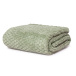 Cobertor Infantil aveludado com relevos manta soft touch flannel jaquard Verde - Constantini Baby