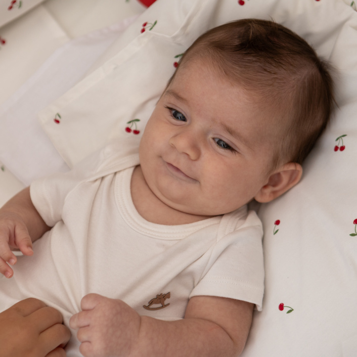 Edredom Berço/Mini Cama (Capa Duvet + Refil) Dupla face percal 200 fios 100% Algodão Cerejinha - Constantini Baby