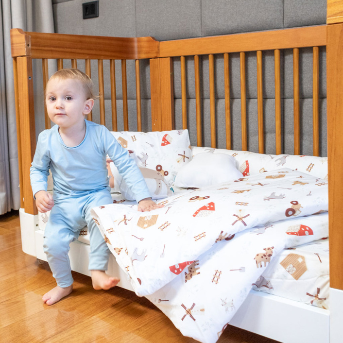 Fronha Avulsa 30x40cm 100% Algodão Percal 200 Fios Fazendinha - Constantini Baby