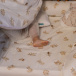 Kit de Capas de Rolinho para Mini Cama 4 Peças Percal 100% Algodão Minha Gatinha - Constantini Baby