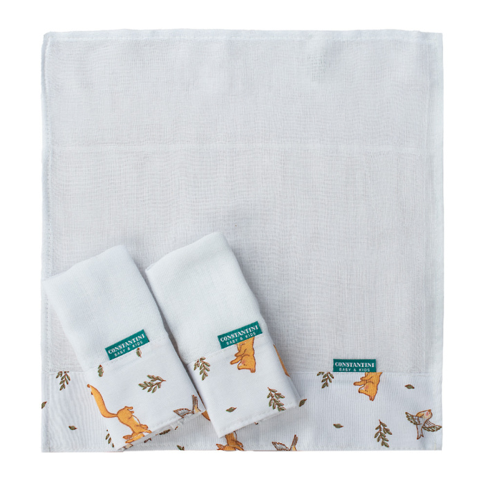 Kit para bebê de higiene e cuidados 8 Peças - Raposinha