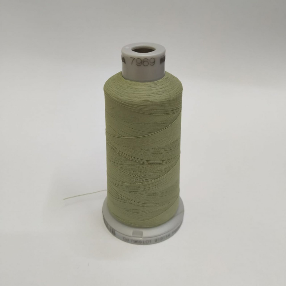 Linha de Bordado Fio40 - Verde Chá Matte - LM M 7969 - Cris Mazzer
