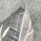 Capa de Almofada Avulsa de Veludo Estampada Botânica Cinza I