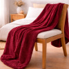Coberta Manta Soft Casal Microfibra Anti Alérgico 2,00 x 1,80m Marsala