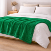 Coberta Manta Soft Casal Microfibra Anti Alérgico 2,00 x 1,80m Verde Bandeira