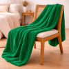 Coberta Manta Soft Casal Microfibra Anti Alérgico 2,00 x 1,80m Verde Bandeira