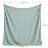 Manta Fleece Petit Poá Queen 2,20m x 2,40m Verde Menta