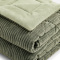 Coberdrom King 2,40m x 2,60m Fleece Canelado Dupla Face Canefleece - Menta