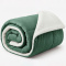 Coberdrom Queen 180 Gramas 2,20m x 2,40m Fleece C/ Sherpa Aspen - Verde Militar
