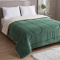 Coberdrom Queen 180 Gramas 2,20m x 2,40m Fleece C/ Sherpa Aspen - Verde Militar