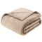 Cobertor Casal Queen King 320 Gramas Extra Macio Veludo Premium 2,20m x2,40m - Bege