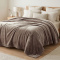 Cobertor Casal Queen King 320 Gramas Extra Macio Veludo Premium 2,20m x2,40m - Camurça
