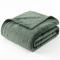 Cobertor Casal Queen King 320 Gramas Extra Macio Veludo Premium 2,20m x2,40m - Menta