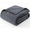Cobertor Casal Queen King 320 Gramas Extra Macio Veludo Premium 2,20m x2,40m - Titânio