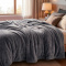 Cobertor Casal Queen King 320 Gramas Extra Macio Veludo Premium 2,20m x2,40m - Titânio