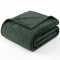 Cobertor Casal Queen King 320 Gramas Extra Macio Veludo Premium 2,20m x2,40m - Verde Jade