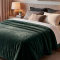 Cobertor Casal Queen King 320 Gramas Extra Macio Veludo Premium 2,20m x2,40m - Verde Jade