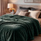 Cobertor Casal Queen King 320 Gramas Extra Macio Veludo Premium 2,20m x2,40m - Verde Jade