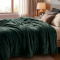 Cobertor Casal Queen King 320 Gramas Extra Macio Veludo Premium 2,20m x2,40m - Verde Jade