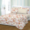 Jogo Cama Hipercal 200 Fios Estampado Kromê Casal 06 Peças - Floral Terracota