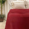 Manta 2,35m x 2,15m Plush 180 Gramas King Toque Macio - Vermelho