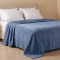 Manta Casal 240 Gramas 1,80m x 2,40m Jacquard C/ Sherpa Velvet Borboletas - Azul