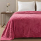 Manta Casal 240 Gramas 1,80m x 2,40m Jacquard C/ Sherpa Velvet Borboletas - Pink