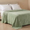 Manta Casal 240 Gramas 1,80m x 2,40m Jacquard C/ Sherpa Velvet Borboletas - Verde