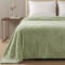 Manta Casal 240 Gramas 1,80m x 2,40m Jacquard C/ Sherpa Velvet Borboletas - Verde