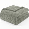 Manta Queen 220 Gramas 2,20m x 2,40m Jacquard C/ Sherpa em Alto Relevo Velvet - Menta