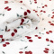 Manta Queen 220 Gramas 2,20m x 2,40m Super Soft Estampada Cerejas