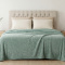 Manta Queen 260 Gramas Soft 2,20m x 2,40m Texturizada Fancy Star - Menta