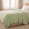 Manta Queen King 240 Gramas 2,20 x 2,40m Jacquard C/ Sherpa Velvet Borboletas - Verde
