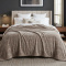 Manta Queen Listrada 180 Gramas Flannel Ultra Soft Paris - Bege