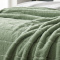 Manta Queen Listrada 180 Gramas Flannel Ultra Soft Paris - Menta