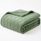 Manta Queen Listrada 180 Gramas Flannel Ultra Soft Paris - Menta