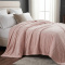 Manta Queen Listrada 180 Gramas Flannel Ultra Soft Paris - Rosê